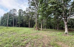 000 West Highway 32, Licking, MO 65542