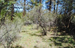Jaguar Lane, Bonanza, OR 97623