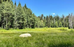 57792 Fawn Dr, Springville, CA 93265
