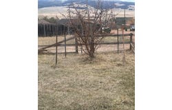 Clark Avenue, Philipsburg, MT 59858