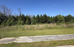 Third N Street, Soperton, GA 30457