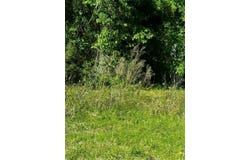 2 SW 24TH Place, OCALA, FL 34481