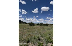 Eucalyptus Lane, Concho Valley, AZ 85924