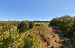 Honeytree Lane, Camp, AR 72520