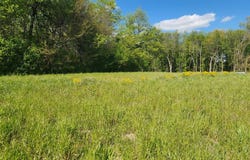 Quercus Drive lot: 24, Cottage Grove, WI 53527