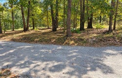 19879 Farm Road 1043, Exeter, MO 65647