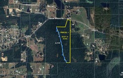 Tanner Williams Rd -Parcel 1, Lucedale, MS 39452