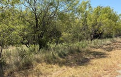 28 County Road 417, May, TX 76857