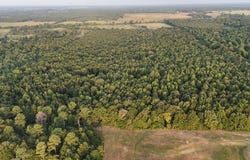 23 LR County Road, Ashdown, AR 71822