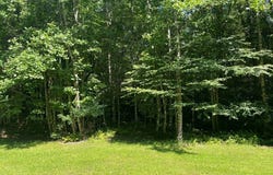 Gate 3 Lot 31, CLEAR FORK, VA 24314