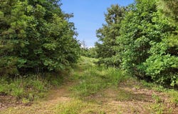 Dick Finch Rd, Romance, AR 72136