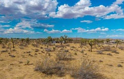 6 Sunway Drive, Yucca Valley, CA 92284