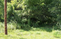 0008 LONG RUN Road, Mill Hall, PA 17751
