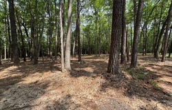 29 Harmony Hills Circle, HEATHSVILLE, VA 22473