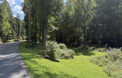 6.13 AC Lucius Road, Cherry Log, GA 30522