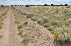 76 acres CR 6451, St. Johns, AZ 85936