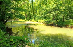 9025 Conner Rd, Powell, TN 37849