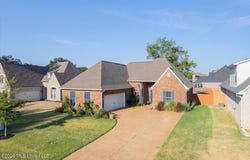 2865 Walking Dog Lane, Nesbit, MS 38651