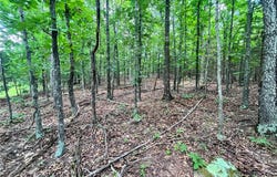 NC 4810 lot: 0, Mount Judea, AR 72655