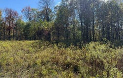 00 Maple Ave, Marsteller, PA 15760