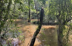Plantation Lane lot: 14, DeFuniak Springs, FL 32433