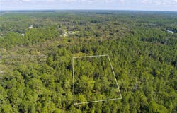 Mims, FL 32754