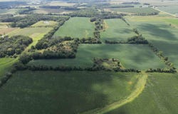 Stevens Trail, Lawler, IA 52154