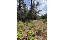 Werlin St, East Brewton, AL 36426