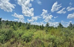 Peanut Road, Cottondale, FL 32431