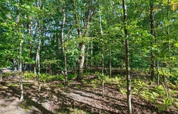 15511 PLESS LANE, SPRING LAKE, MI 49456