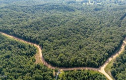 Billy Nance Boulevard, Clifton, TN 38425