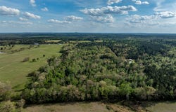 White Tail Road, Gilmer, TX 75644