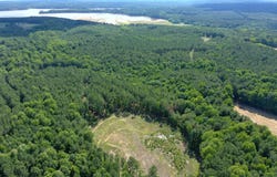 9035 New Sandy Hill Church Road, Bailey, NC 27807