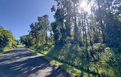 ALAPAI ST, Pahoa, HI 96778