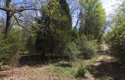 Apache Trail, Log Cabin, TX 75148