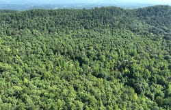 Polk Road 69, Mena, AR 71953