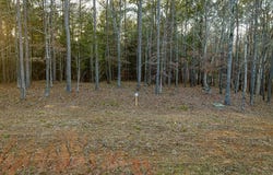 Stately Oak Dr lot: 7, Huntingdon, TN 38344