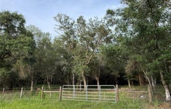 SE BROWN Road, ARCADIA, FL 34266