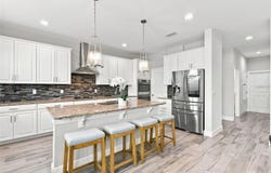 7697 ROMA DUNE Drive, WESLEY CHAPEL, FL 33545