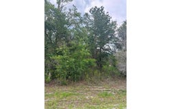 21902 NE 69TH Place, MELROSE, FL 32666