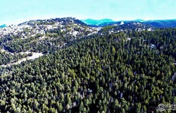 Snowy Trl, Conifer, CO 80433