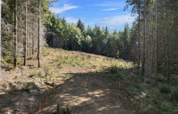 THIMBLEBERRY Dr, CastleRock, WA 98611