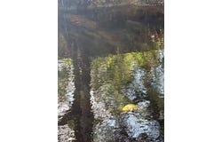 14621 & 14617 CORAL Drive, HUDSON, FL 34667