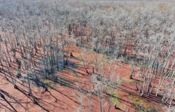 County Road 526, Minter City, MS 38944