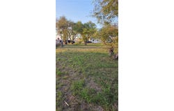 Main lot: 4, Skidmore, TX 78389