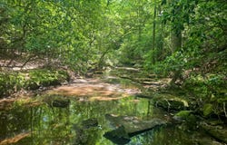 TOMMY MCGOUGH Rd, Carbon Hill, AL 35549
