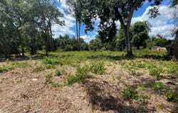 COUNTY ROAD 42, UMATILLA, FL 32784