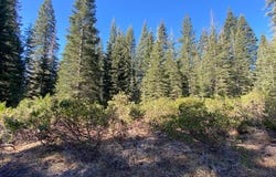 4-L-6 Winding Way, McCloud, CA 96057