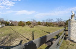 1006 S Clark Road, Cedar Hill, TX 75104