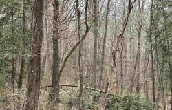 246 WHISPERING PINES TRAIL, Minden, LA 71055